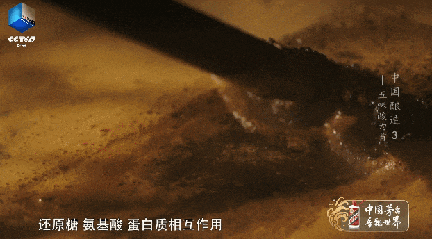 纪录片《中国酿造》：坛中有日月 杯里藏乾坤