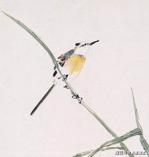 王雪涛画中小鸟的独到之处