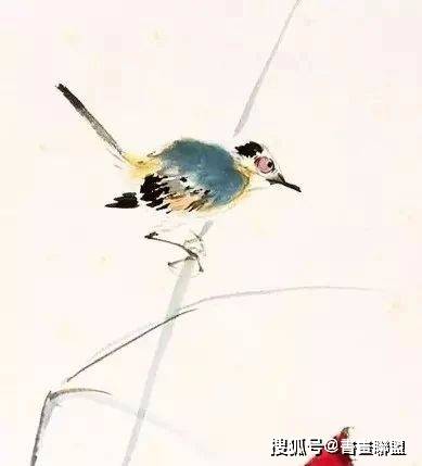 王雪涛画中小鸟的独到之处