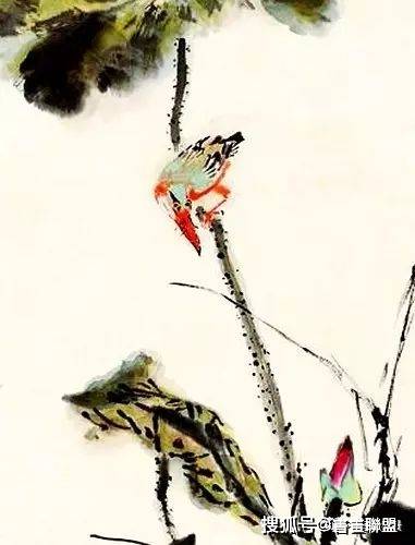 王雪涛画中小鸟的独到之处