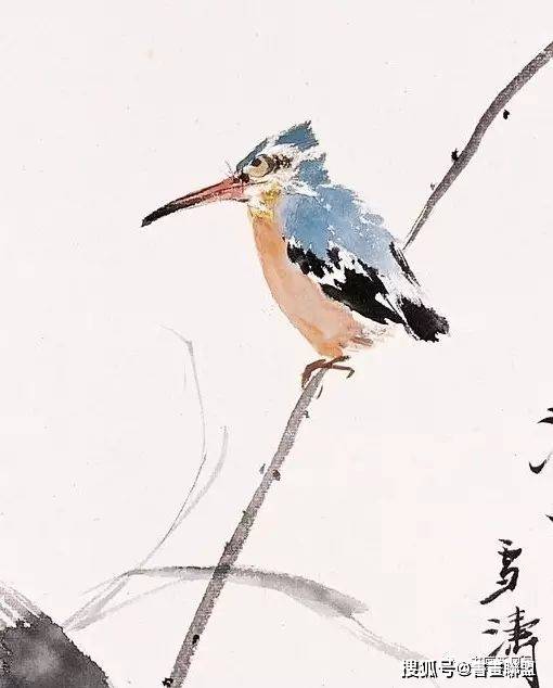 王雪涛画中小鸟的独到之处