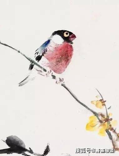 王雪涛画中小鸟的独到之处