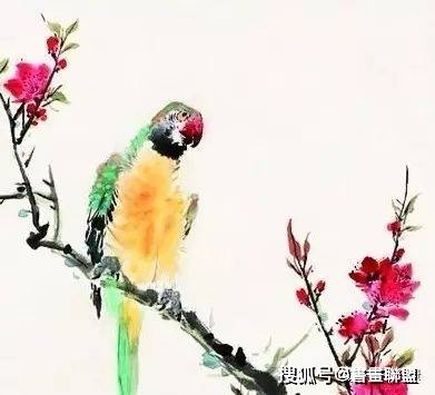 王雪涛画中小鸟的独到之处