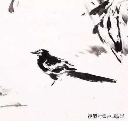 王雪涛画中小鸟的独到之处
