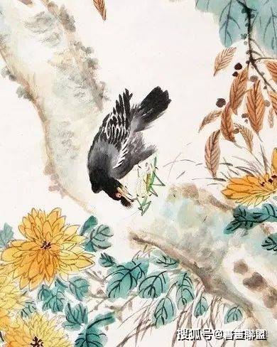 王雪涛画中小鸟的独到之处