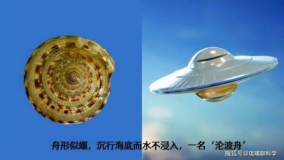 离奇？日本“虚舟”传说、《拾遗记》中的沦波舟、蓝道申森林UFO，都有相似点