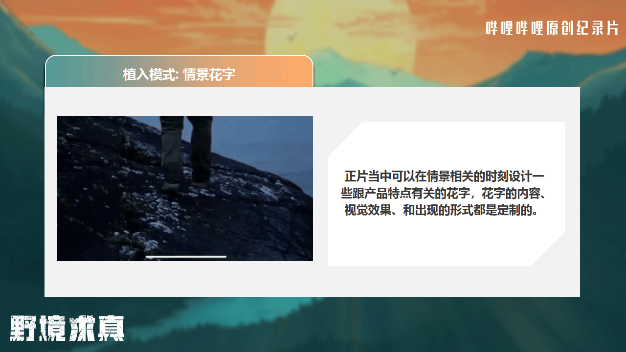哔哩哔哩运营：哔哩哔哩纪录片《野境求真》招商方案