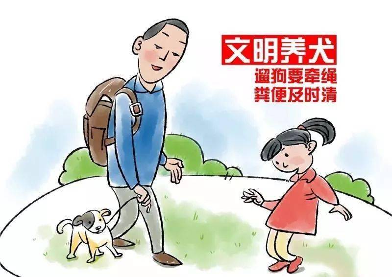 创卫进行时丨创卫中的市民该怎么做？