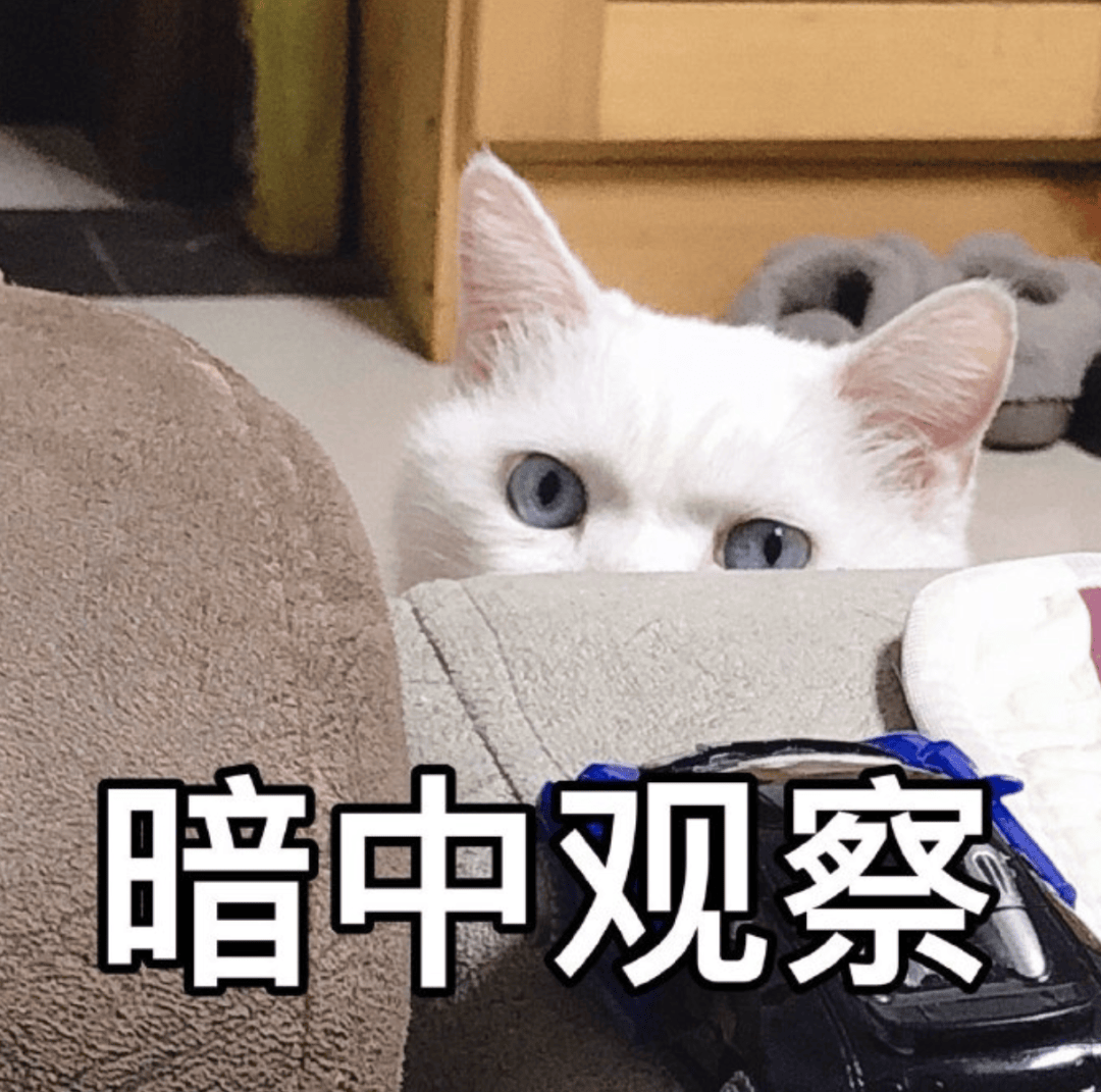 “保时捷、小米汽车图文中的选配换色效果，怎么做啊？”