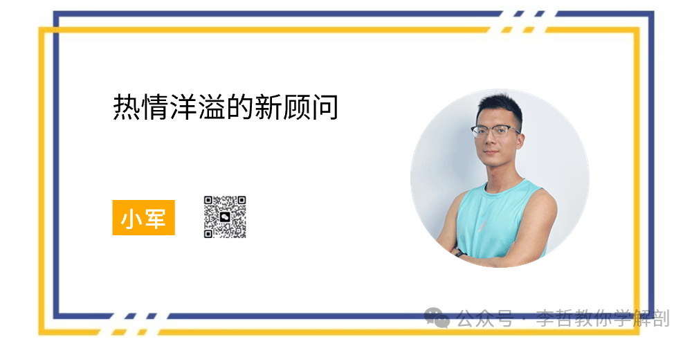 人体直立的关键肌筋膜链~后表线筋膜训练【中】