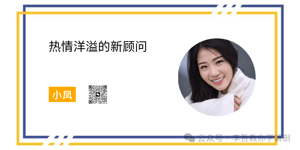 人体直立的关键肌筋膜链~后表线筋膜训练【中】