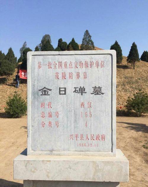 这8个姓氏中或有匈奴人的后代：姓刘、乔、万、于、金、董、卜等
