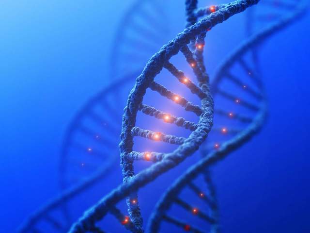 人工智能发现了隐藏在“垃圾”DNA中的癌症驱动因素