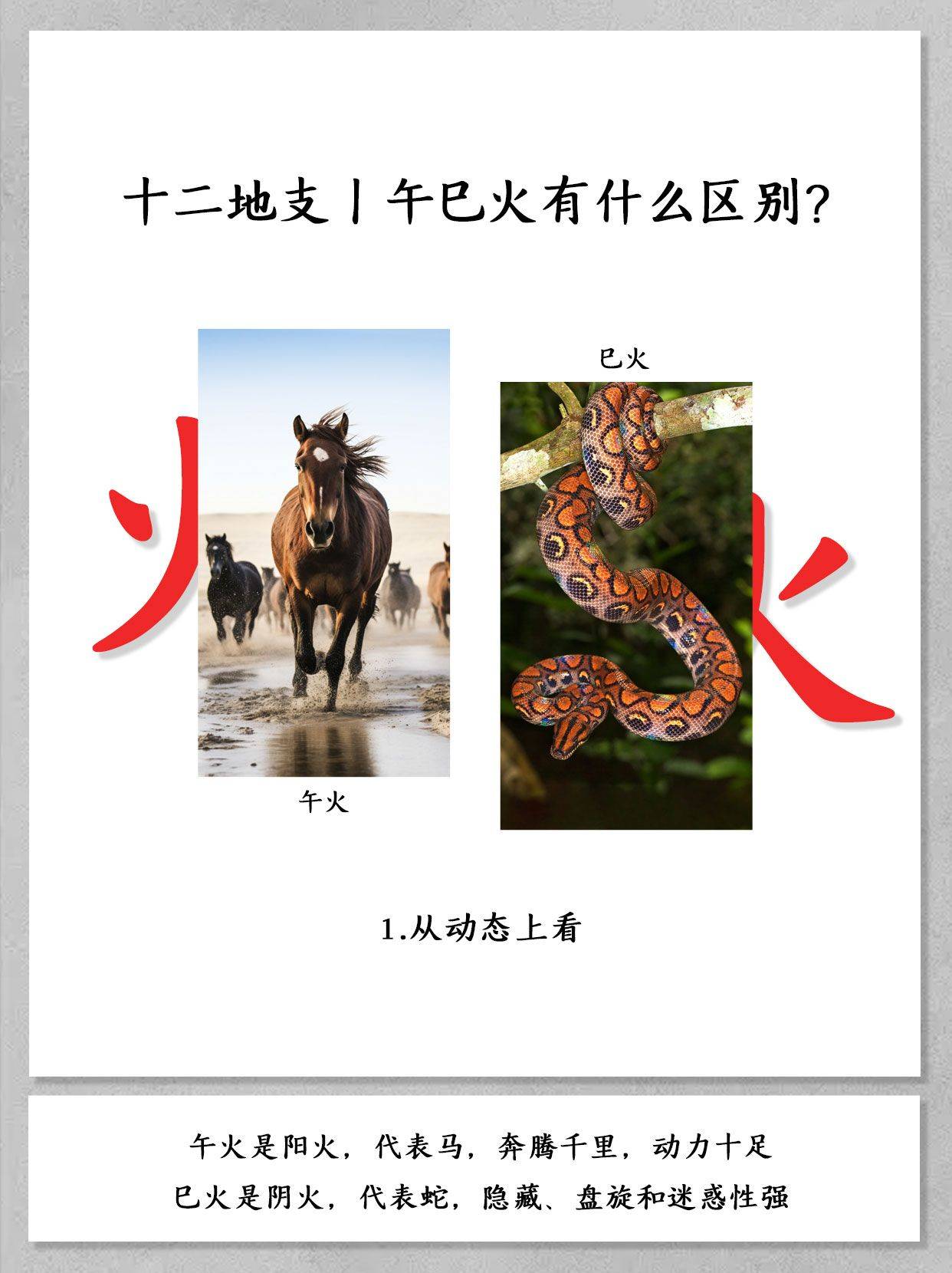 五行中巳火与午火之间的区别