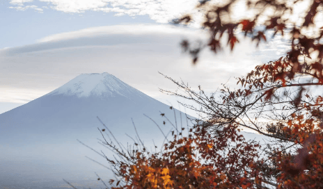 富士山下泉水池中硬币达1米厚，景点忍野八海近年来饱受“观光公害”问题困扰