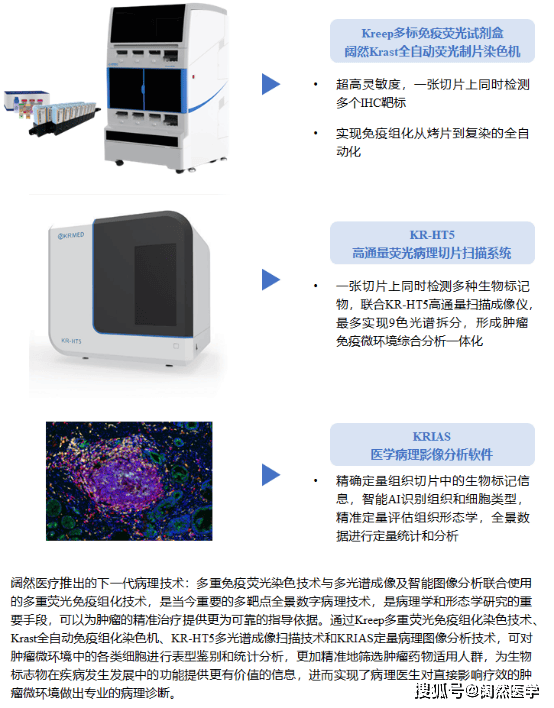 靶向EphB4和ephrinB2在HNSCC中作用