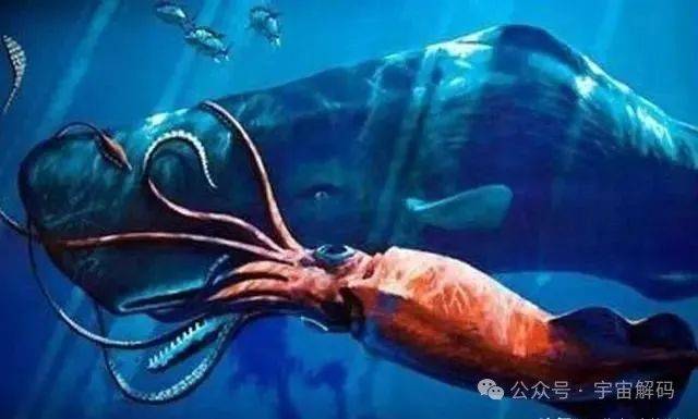 大海蛇之谜，传说中的巨型海蛇真的存在吗？