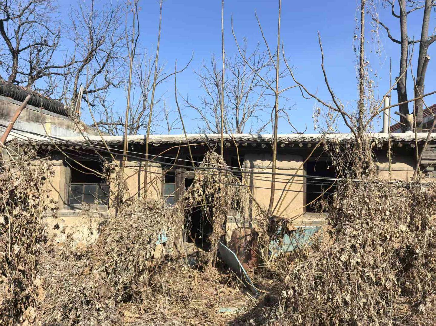 秦皇岛一老人办房产证，邻居索要5万元“签字费”，当地街道正协调处理